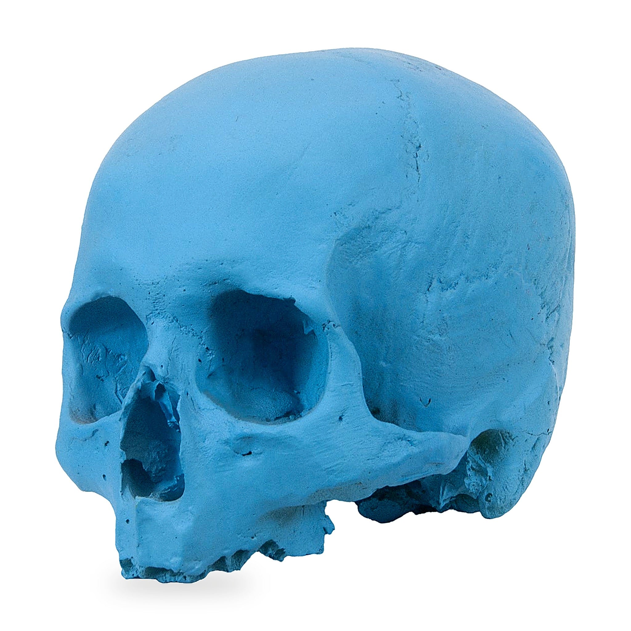 'E capuzzelle, il Culto delle Anime Pezzentelle - Teschi scultura in resina azzurra opaca da 14cm