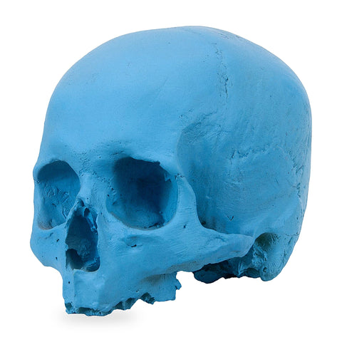 'E capuzzelle, il Culto delle Anime Pezzentelle - Teschi scultura in resina azzurra opaca da 14cm