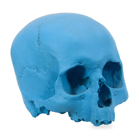 'E capuzzelle, il Culto delle Anime Pezzentelle - Teschi scultura in resina azzurra opaca da 14cm