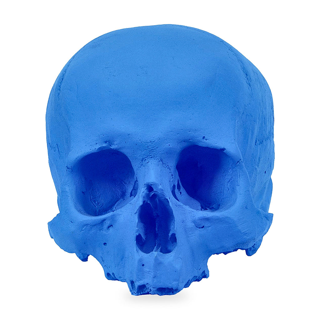'E capuzzelle, il Culto delle Anime Pezzentelle - Teschi scultura in resina blu opaca da 14cm