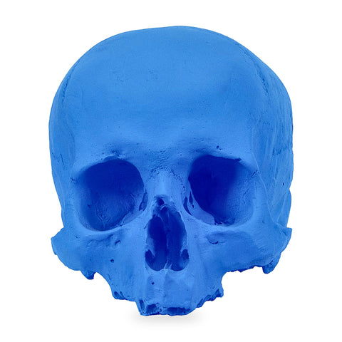 'E capuzzelle, il Culto delle Anime Pezzentelle - Teschi scultura in resina blu opaca da 14cm