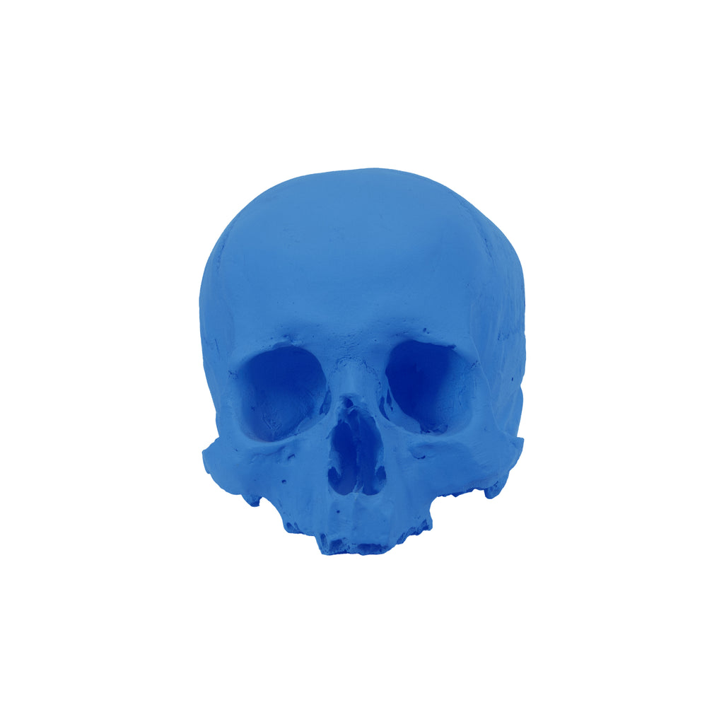 'E capuzzelle, il Culto delle Anime Pezzentelle - Teschi scultura in resina blu opaca da 14cm