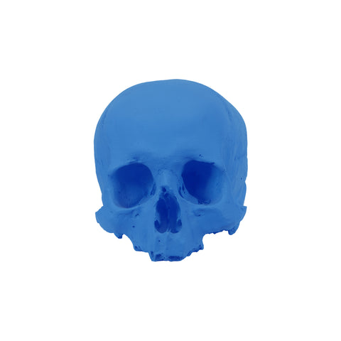 'E capuzzelle, il Culto delle Anime Pezzentelle - Teschi scultura in resina blu opaca da 14cm