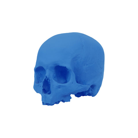 'E capuzzelle, il Culto delle Anime Pezzentelle - Teschi scultura in resina blu opaca da 14cm