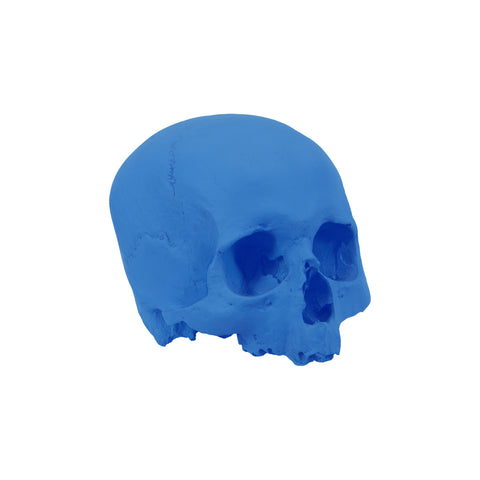 'E capuzzelle, il Culto delle Anime Pezzentelle - Teschi scultura in resina blu opaca da 14cm