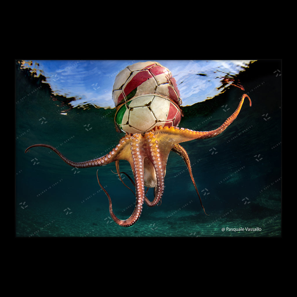 Cap 'e pallon - Fine Art photographic print, Bacoli, 2019