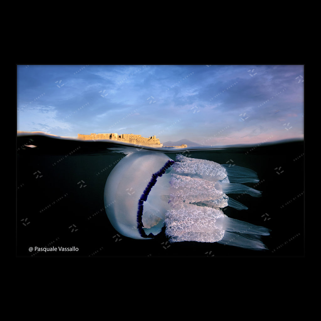 Born between Vesuvius and the Sea - Fine Art photographic print, Naples, 2013