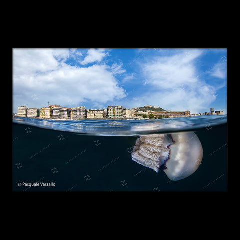 Partenope - stampa fotografica in Fine Art, Napoli, 2014