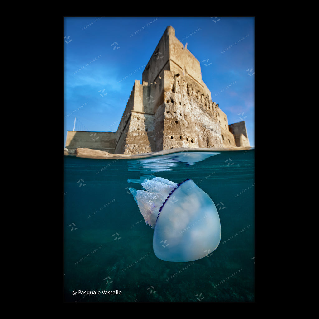 Partenope and Megaride - Fine Art photographic print, Naples, 2013