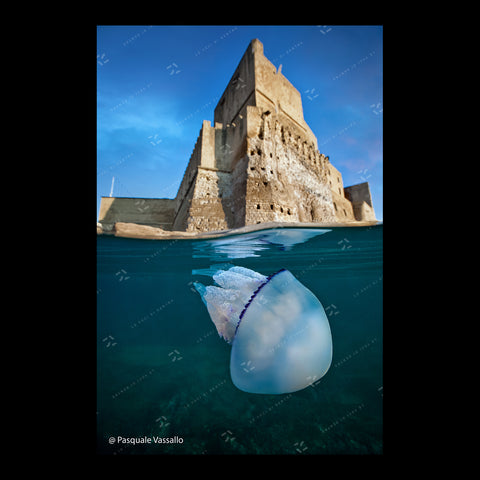 Partenope and Megaride - Fine Art photographic print, Naples, 2013