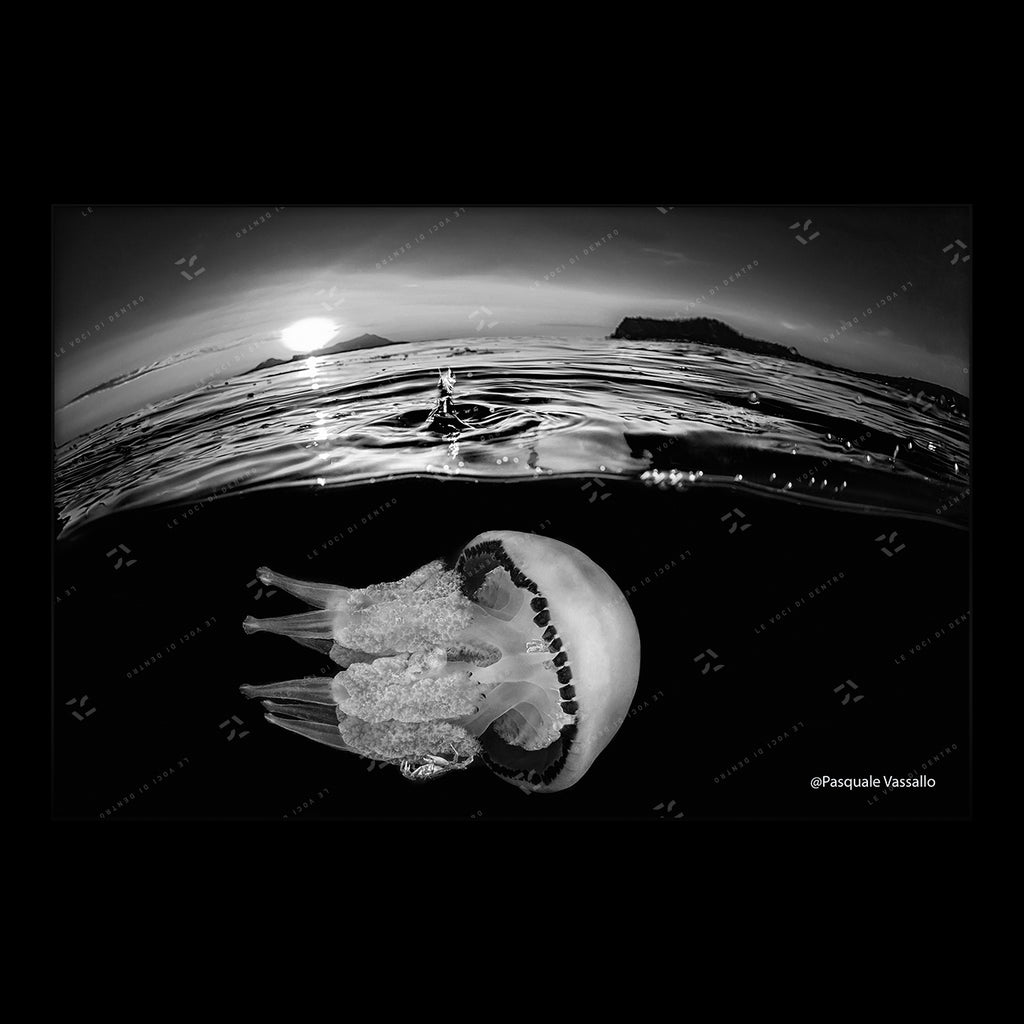 The drop - Fine Art photographic print, Miseno, 2016