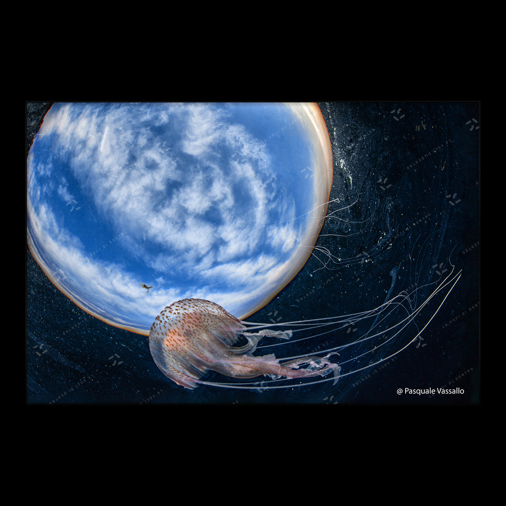 Invasion pt2 - Fine Art photographic print, Bacoli, 2018