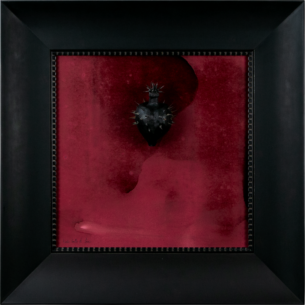 Nigrum Cordis - wooden sculpture with iron thorns and nails on a red dark background protected by an Italian handcrafted frame (72x72)